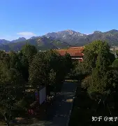 开云体育下载-里程碑夜山东泰山迎来里程碑，荷甲今夜刷纪录，压力陡增，轮换策略成焦点(山河已无恙歌曲完整版)